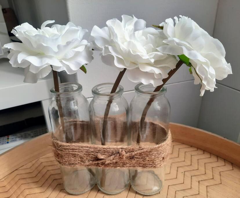 La Palme De Retz Apartment Pornic Ngoại thất bức ảnh